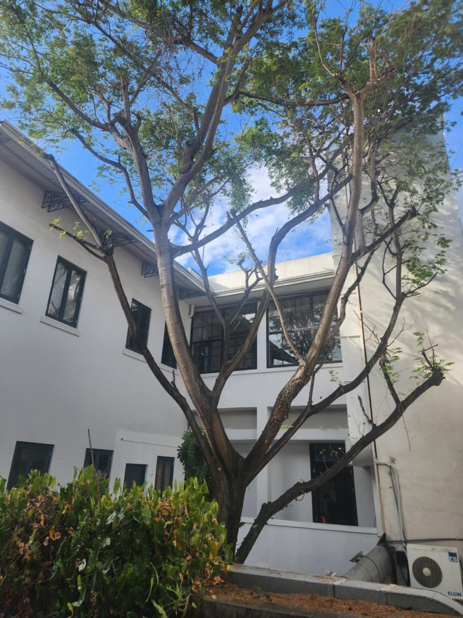 Casco Viejo, Loft De 150 M2, *
